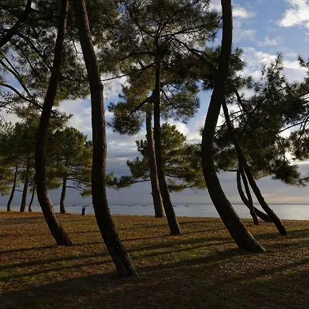 250m Du Bassin, Maison 6 Adultes 2 Enfants Andernos-les-Bains